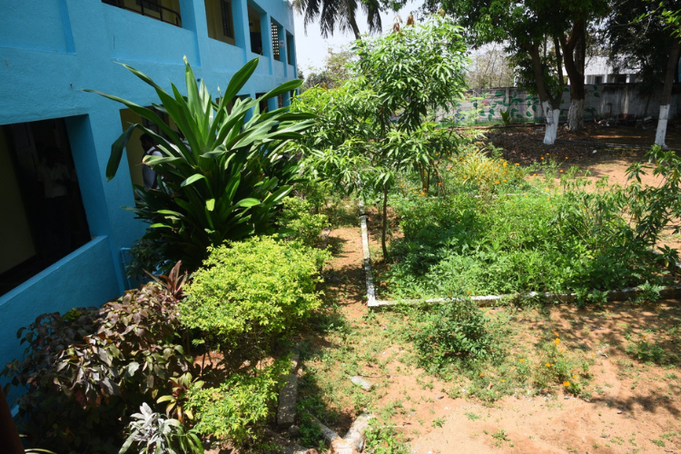 Herbal Garden