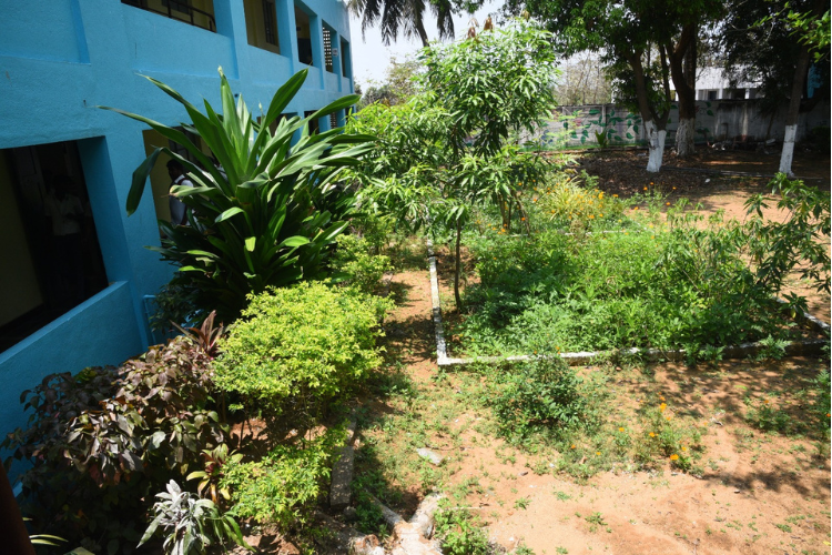 Garden & Articles Section